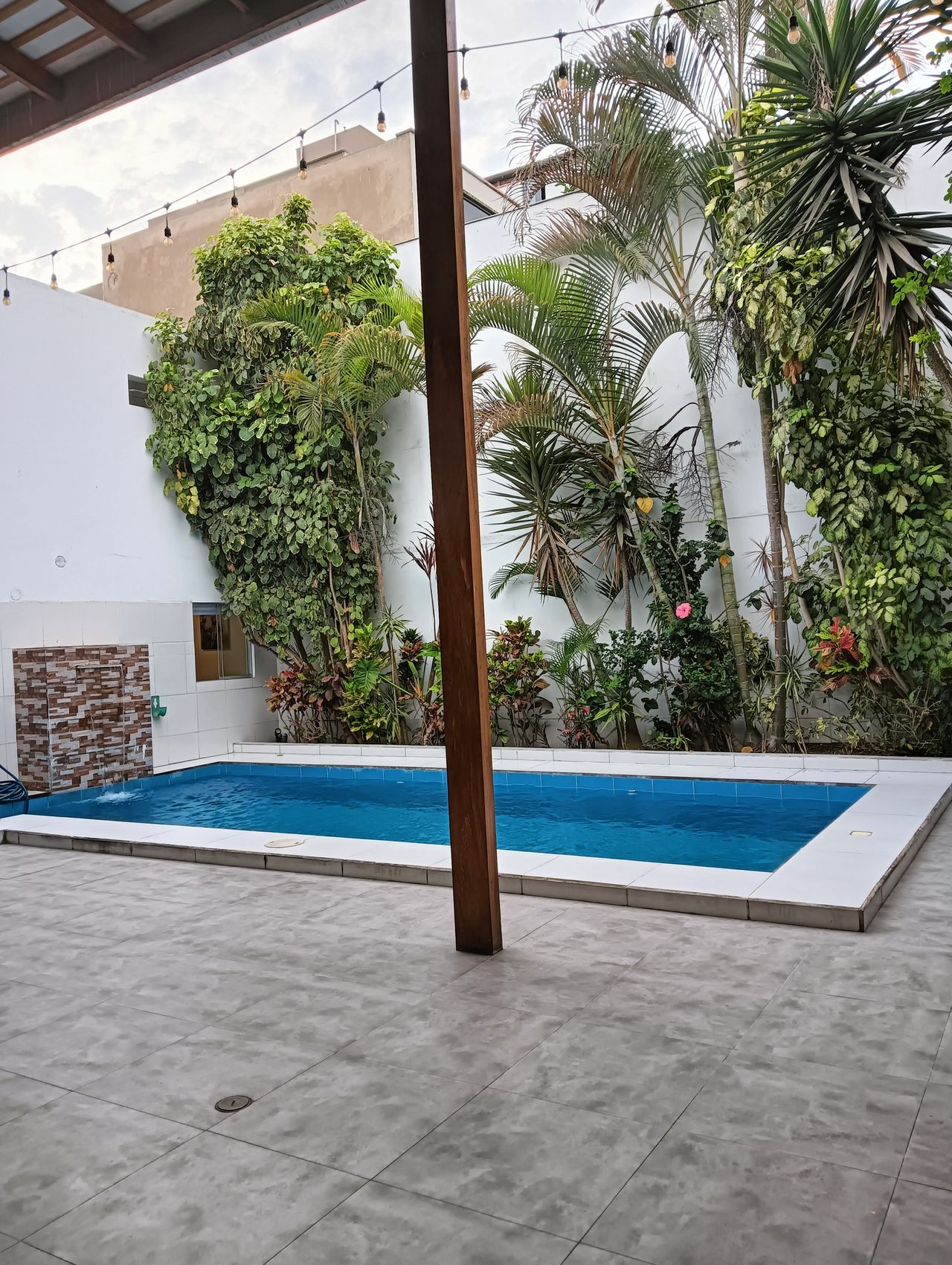 María Celeste Gonzales Solís-5