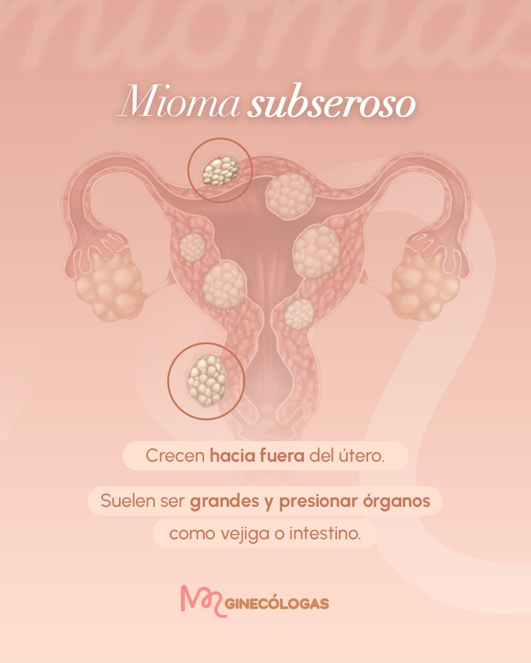 Mariella Gonzales Bolarte-6