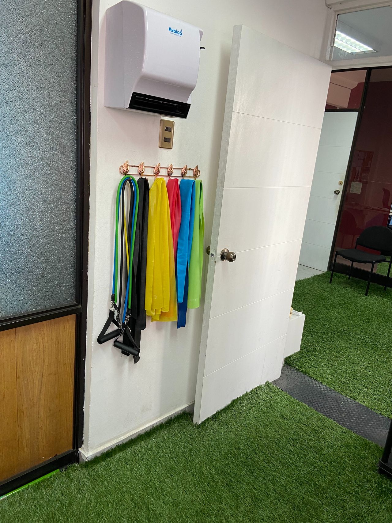 Rodrigo Araya Villalobos-4