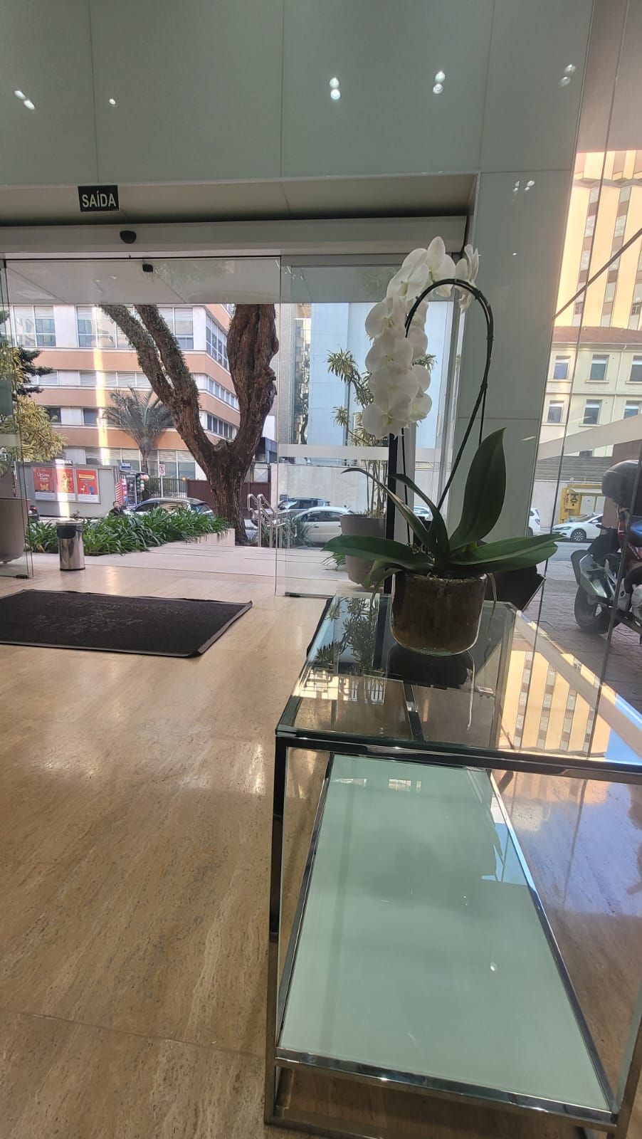 Flávia Esper Dahy-1