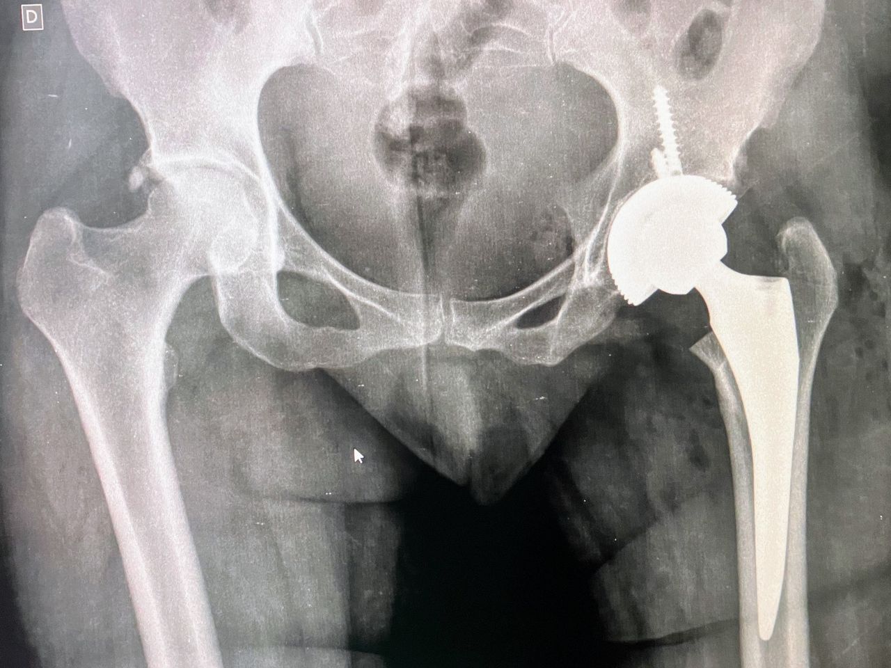 Adriano Pinto Ribeiro-6