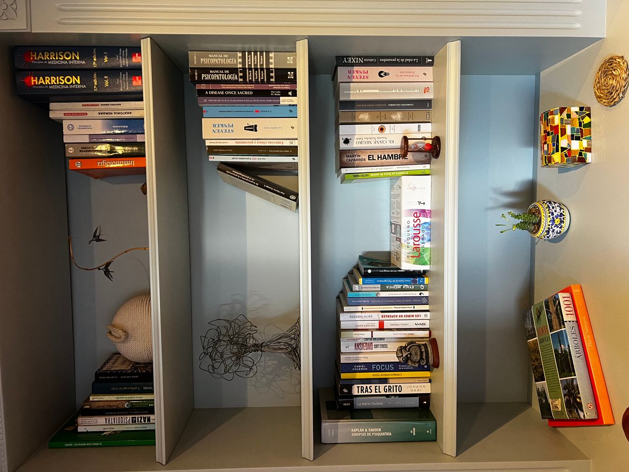 David Mejía Rodríguez-3