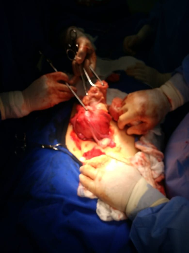 Fatima Akemi Tamaru-35