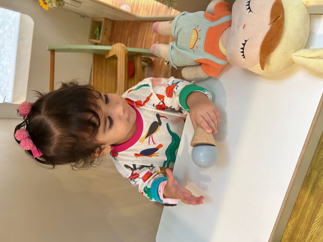 Gecineide Oliveira Jovanovicth-4