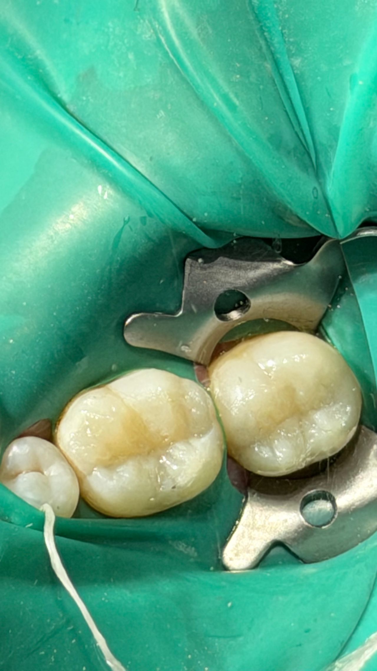 Melissa Vargas Castellanos-34