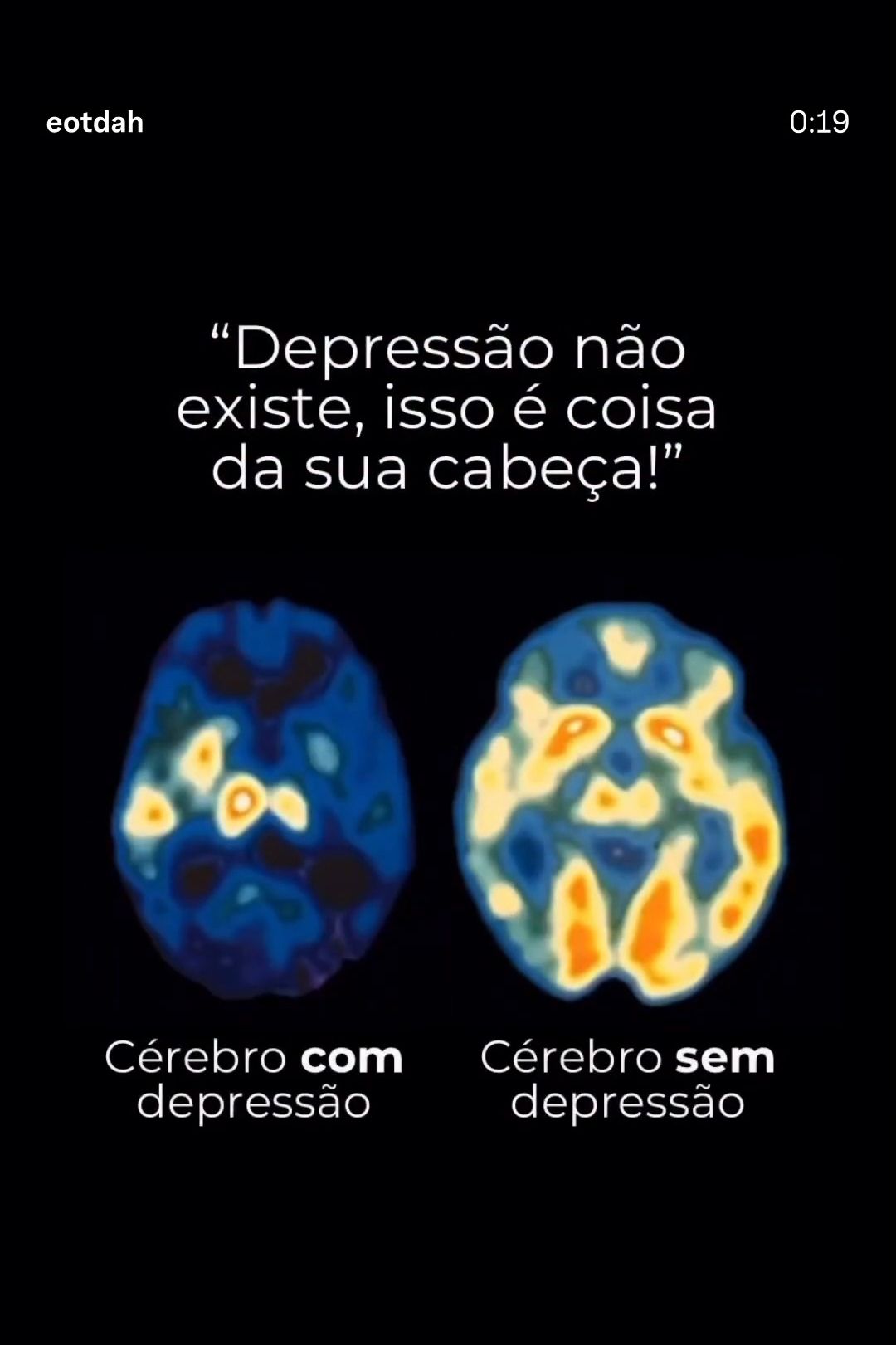 Cíntia Silva De Albuquerque-1