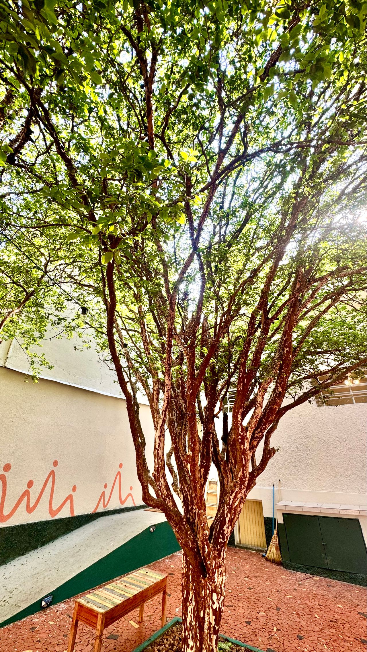 Renata  Rogatis Nunez-6