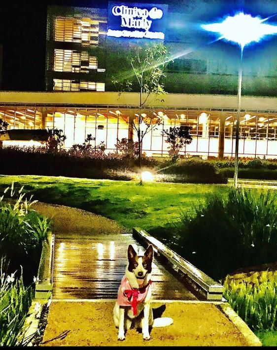 Luz Karem Morales Hernandez-11