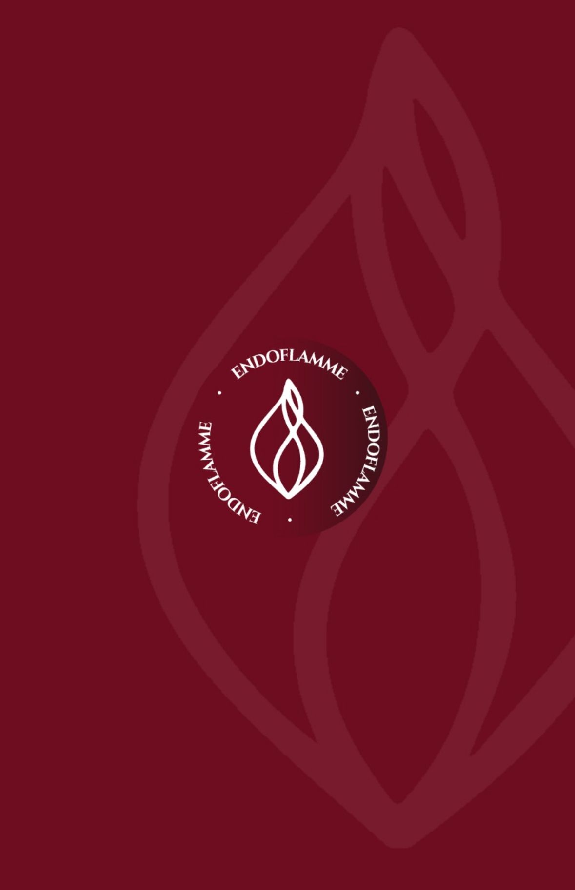 Hially Ribeiro Cabral-0