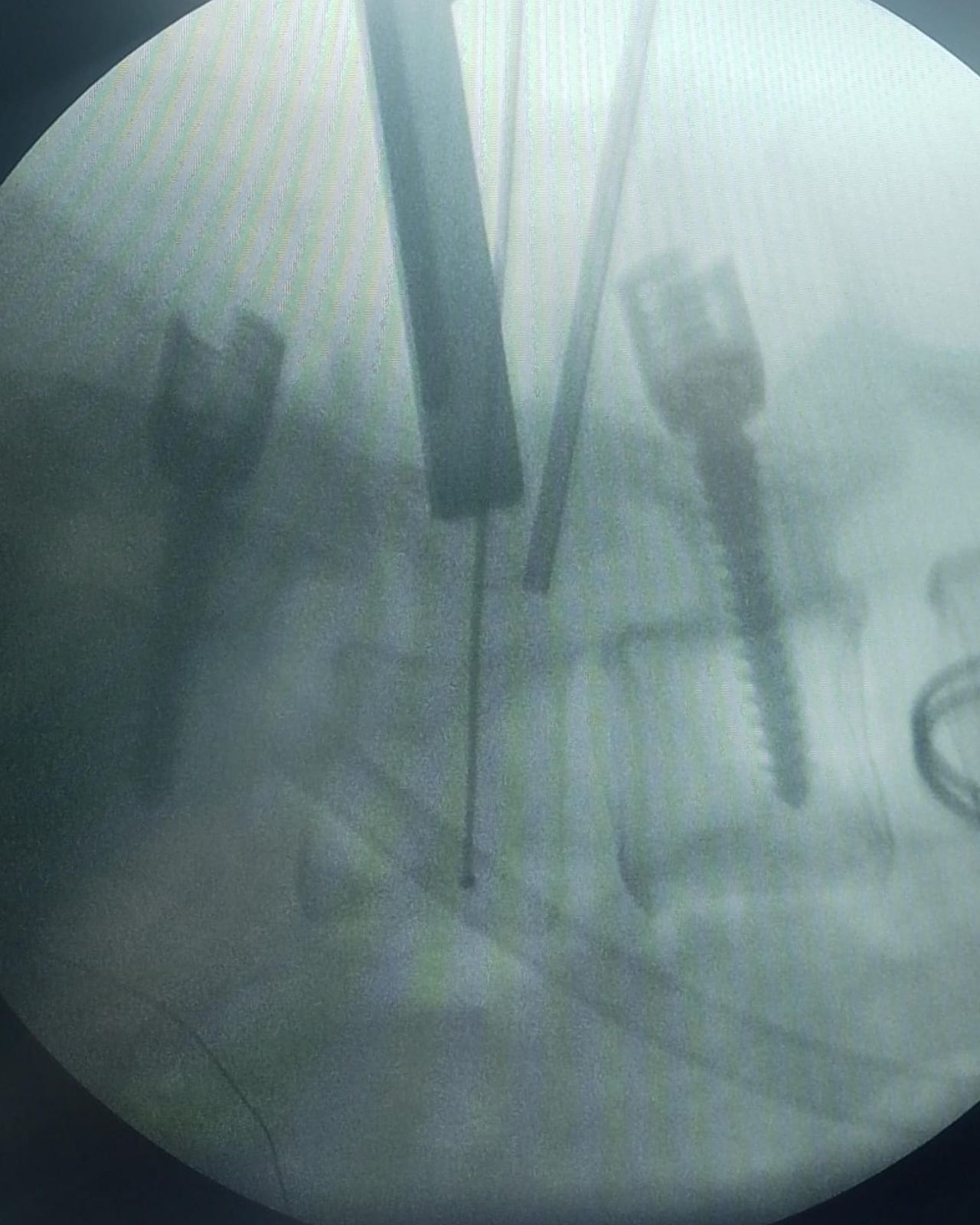 David Tafur Muñoz-1085