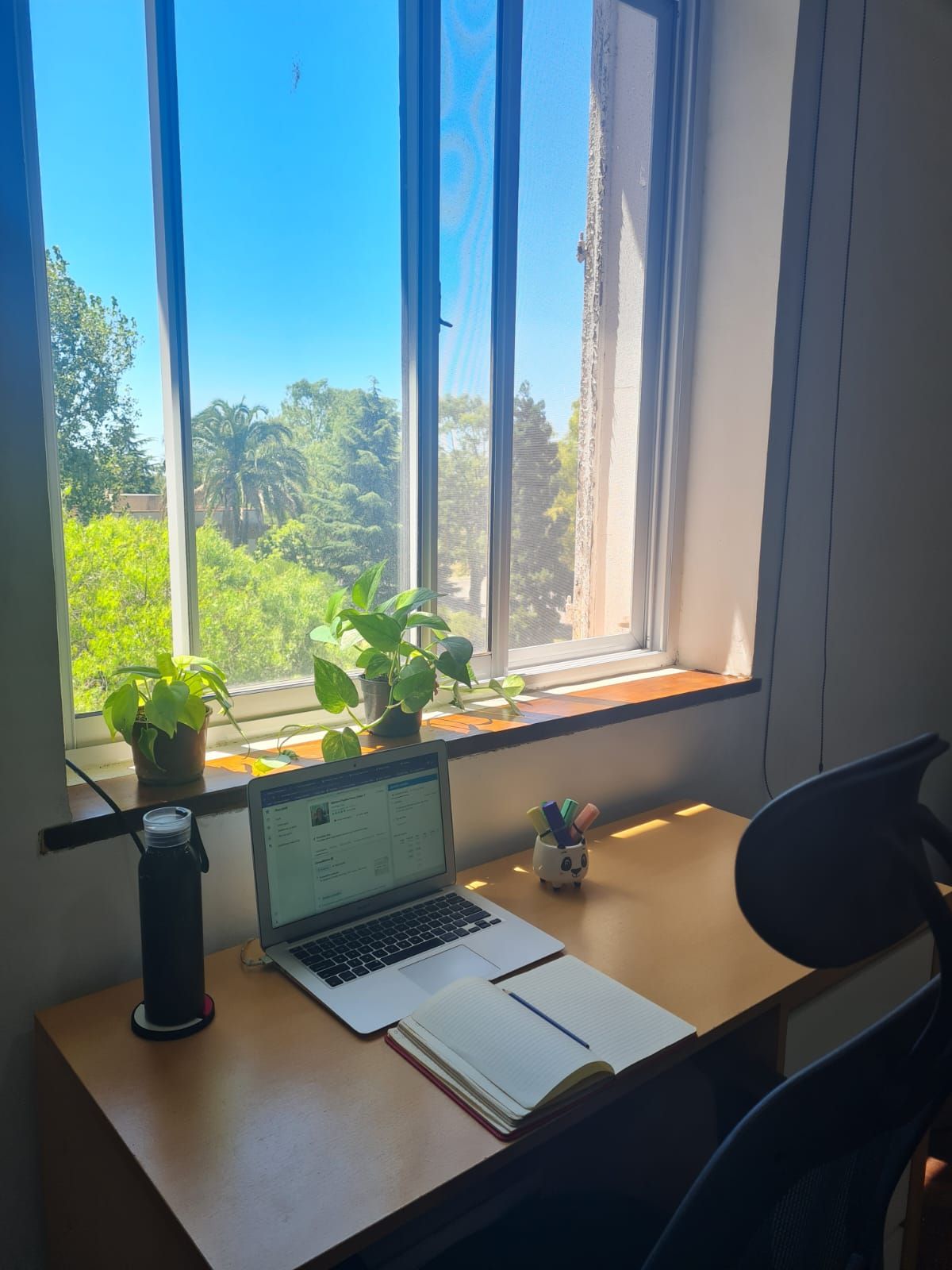 Mariana Paulino Peres Costa-1