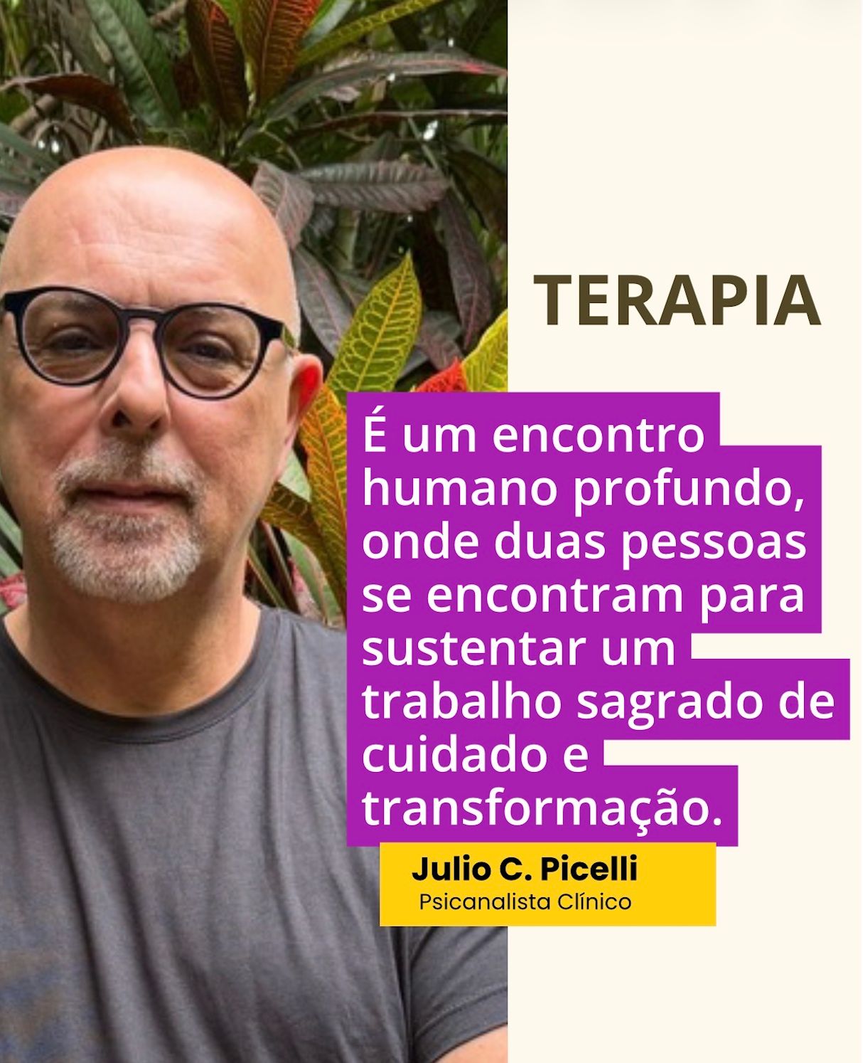 Julio Cesar Picelli-1