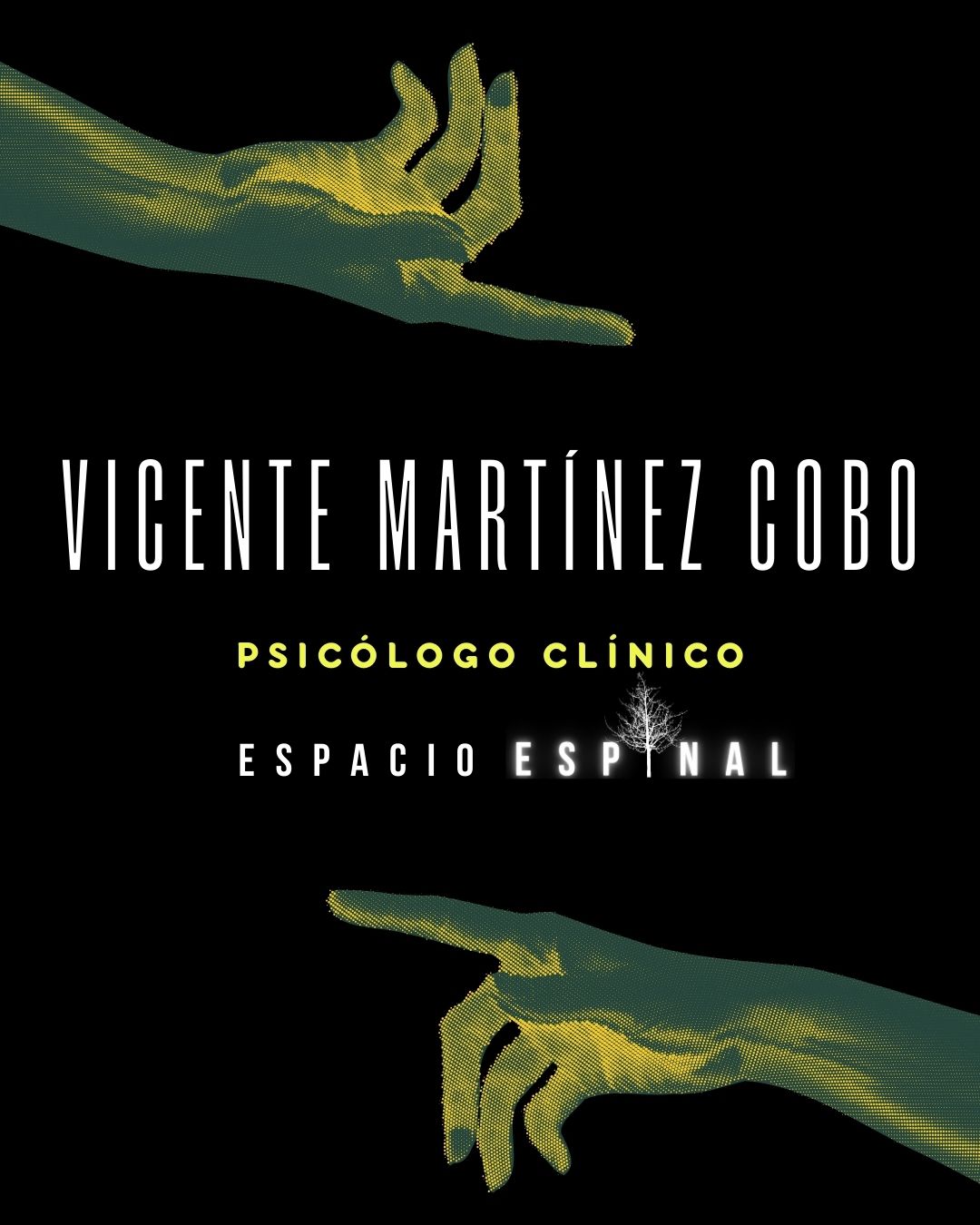 Vicente Maximiliano Martínez Cobo-0