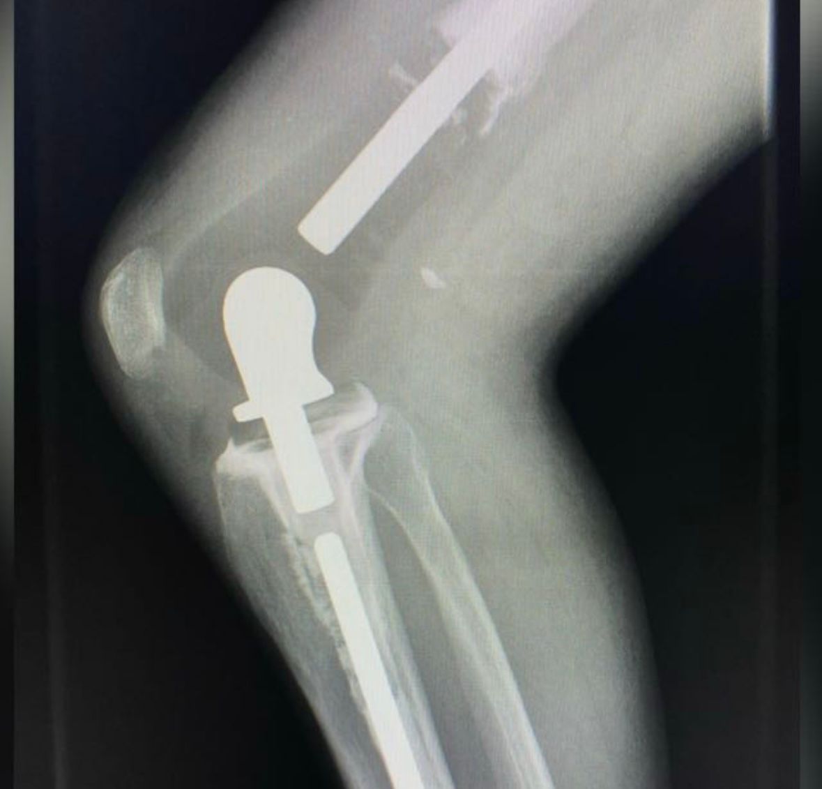 Priscilla Borges De Sousa -9