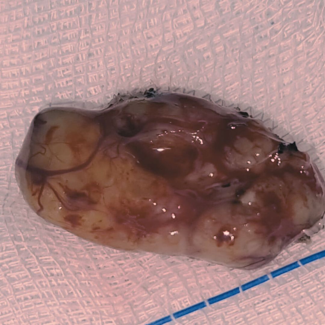 David Tafur Muñoz-2208