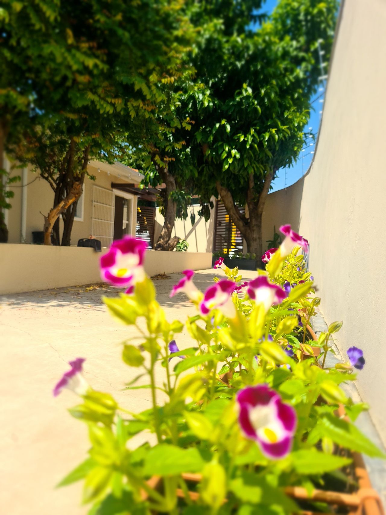 Laura Pazinato Ritter-7