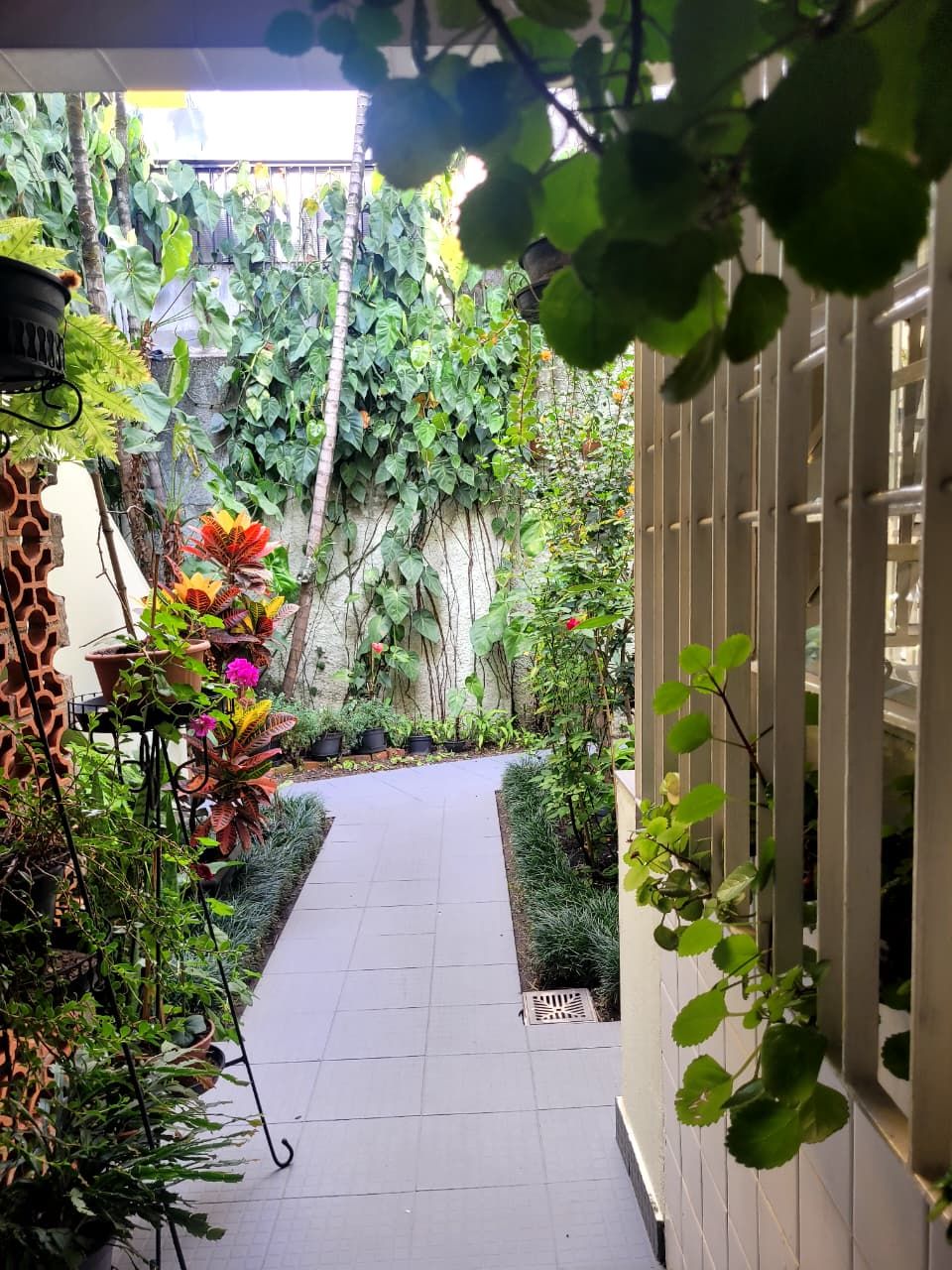 Leticia Ribas Bassan-3