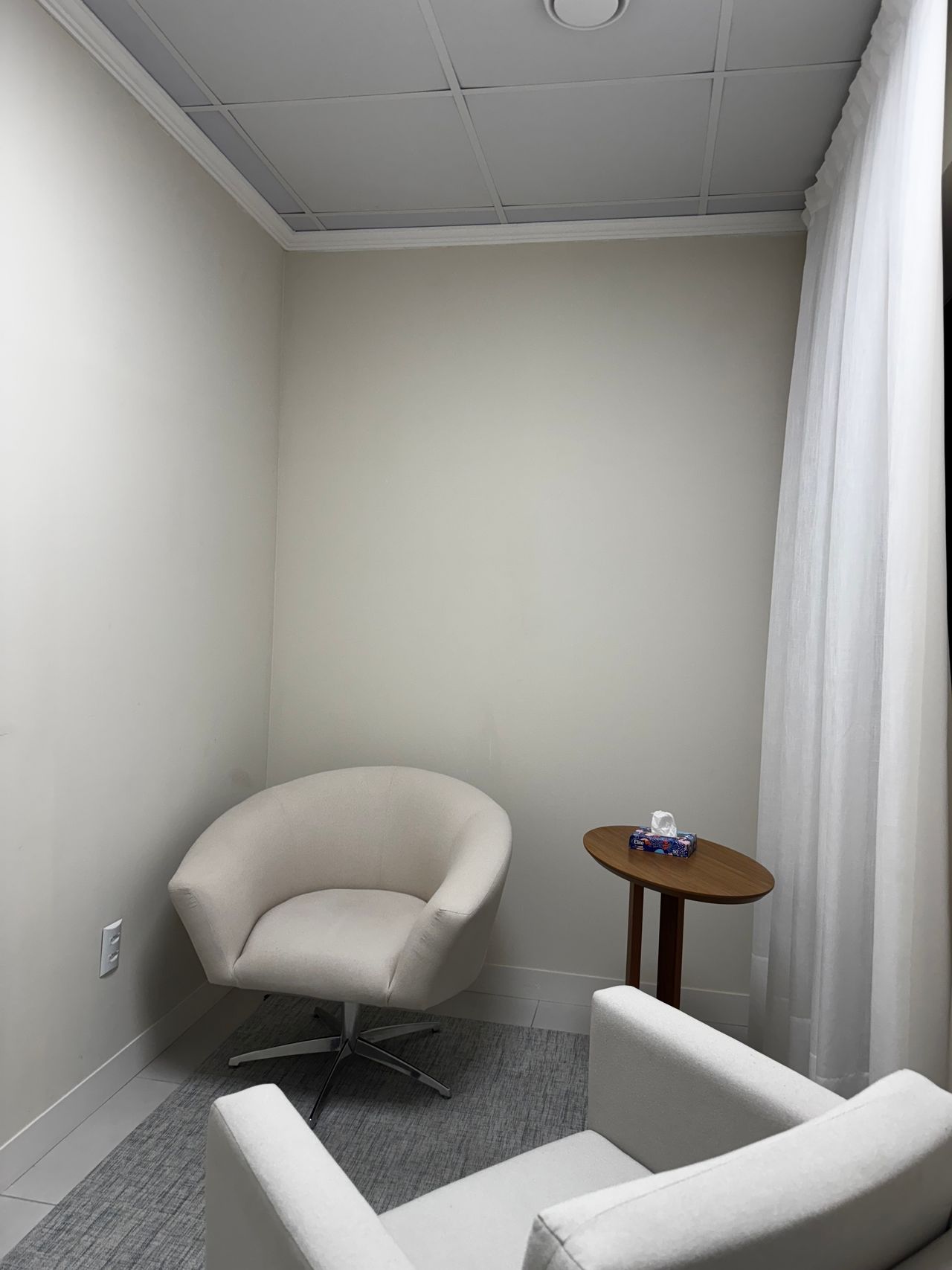 Emilly  Cristina Fernandes Ferreira-1