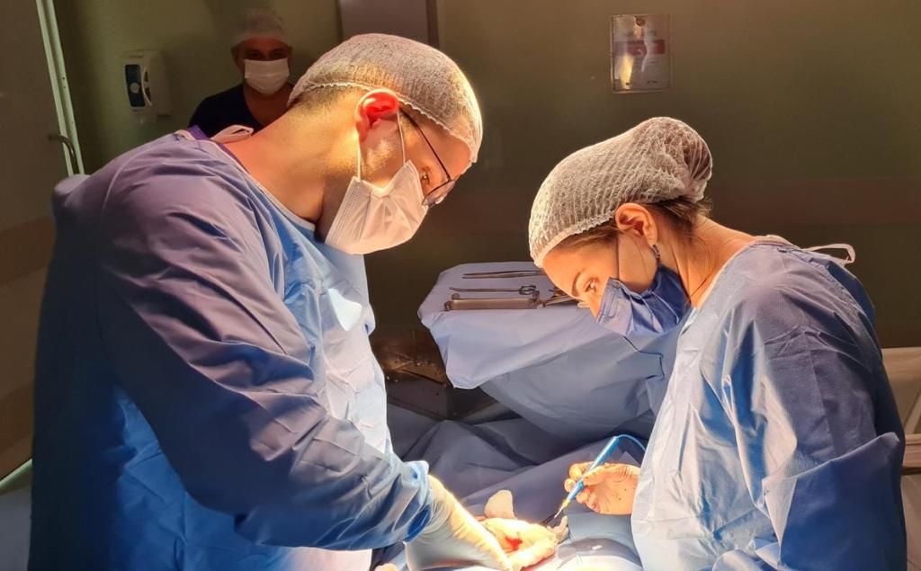 Danielle D’amico-0