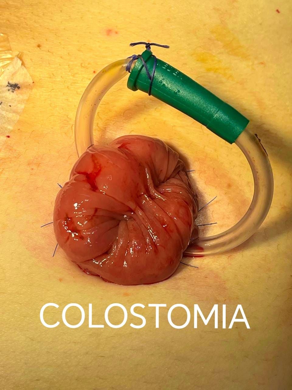 Jorge Carlos Chinchayan Eggart-3