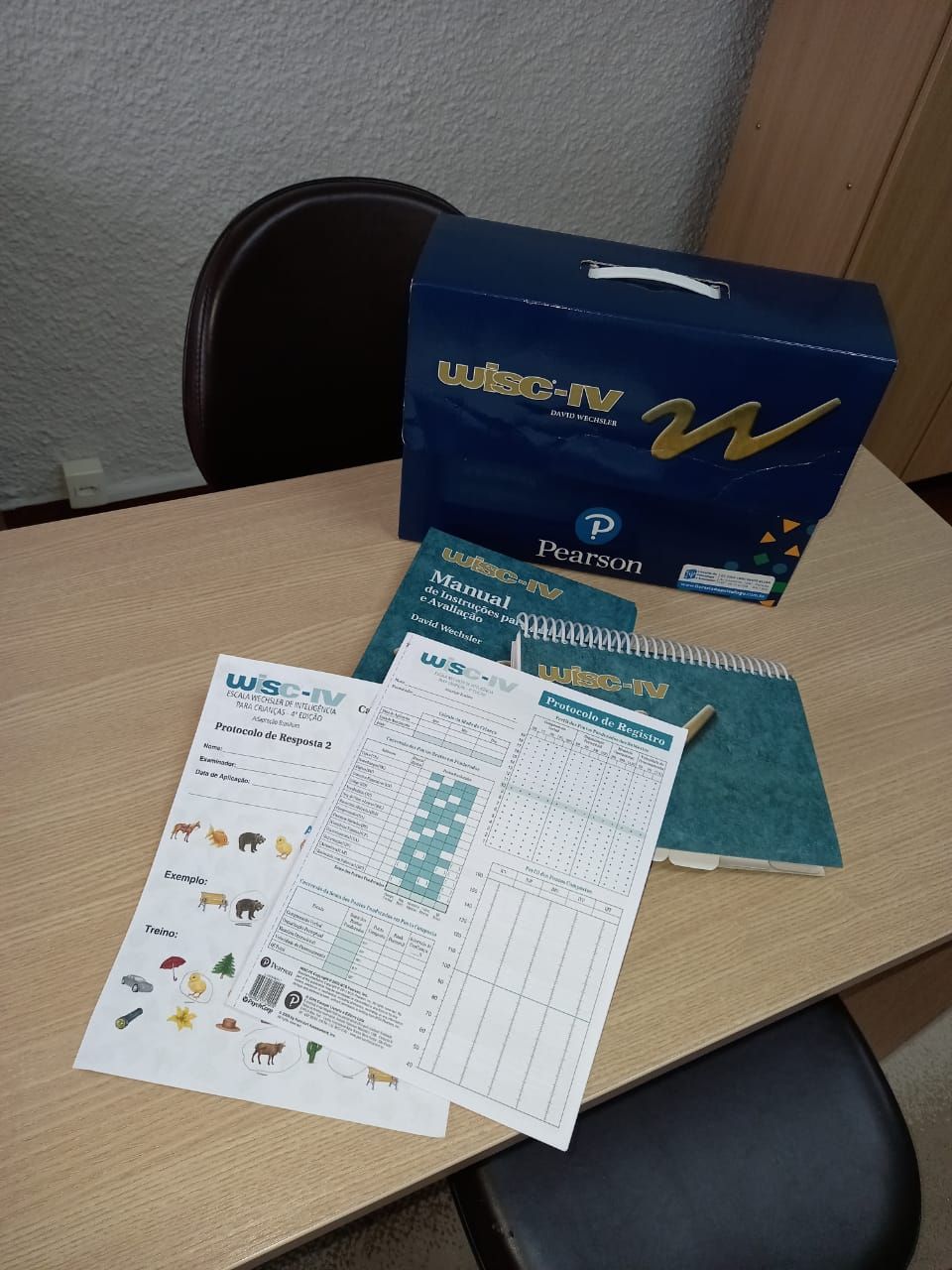 Angélica Lediana Camargo-1