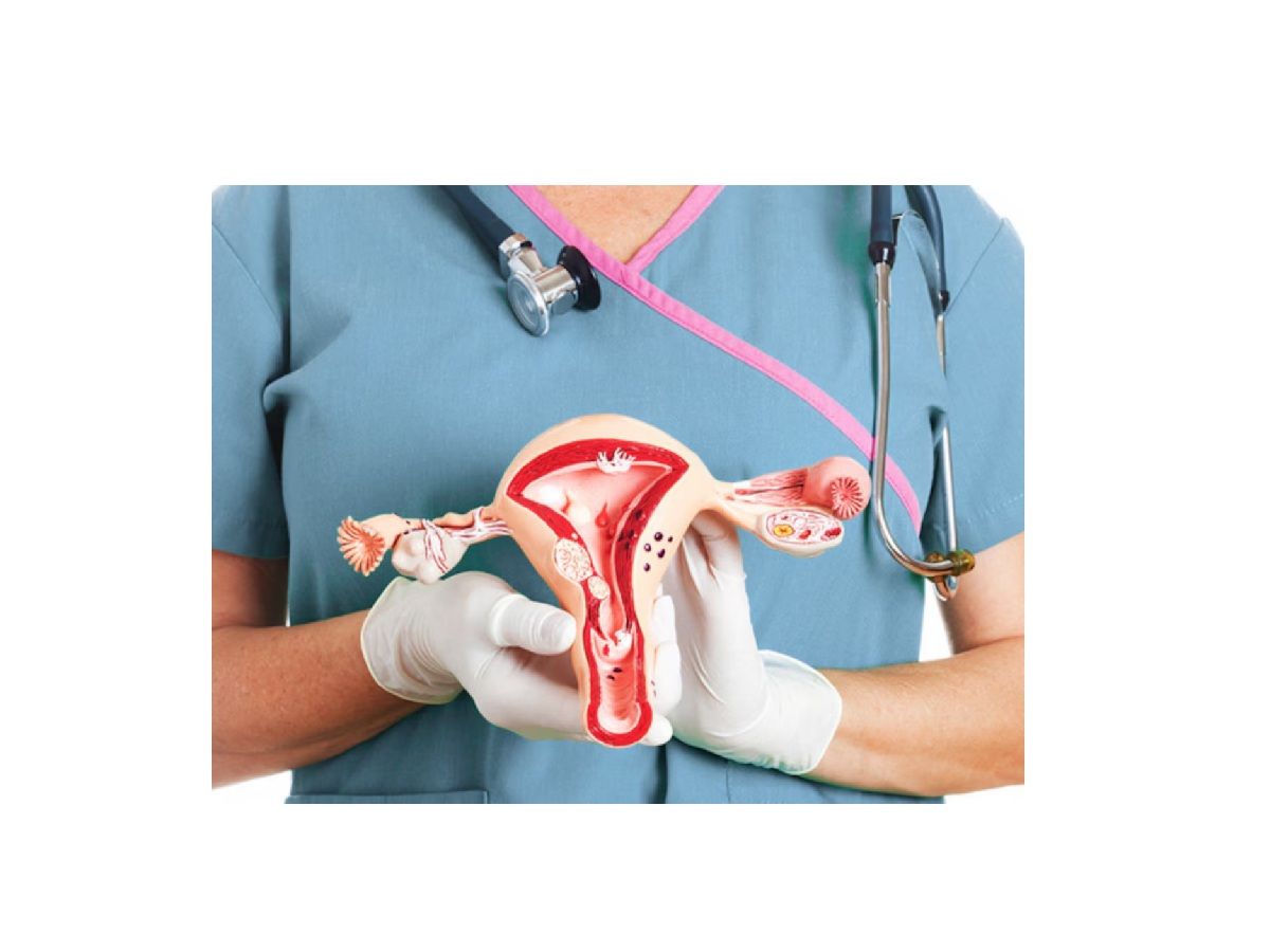 Laura Milena Zabala Arias-0