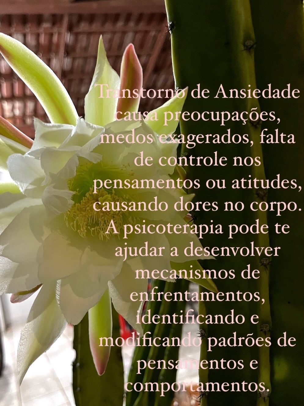 Sueli  Dos Santos Freitas Vaz -4