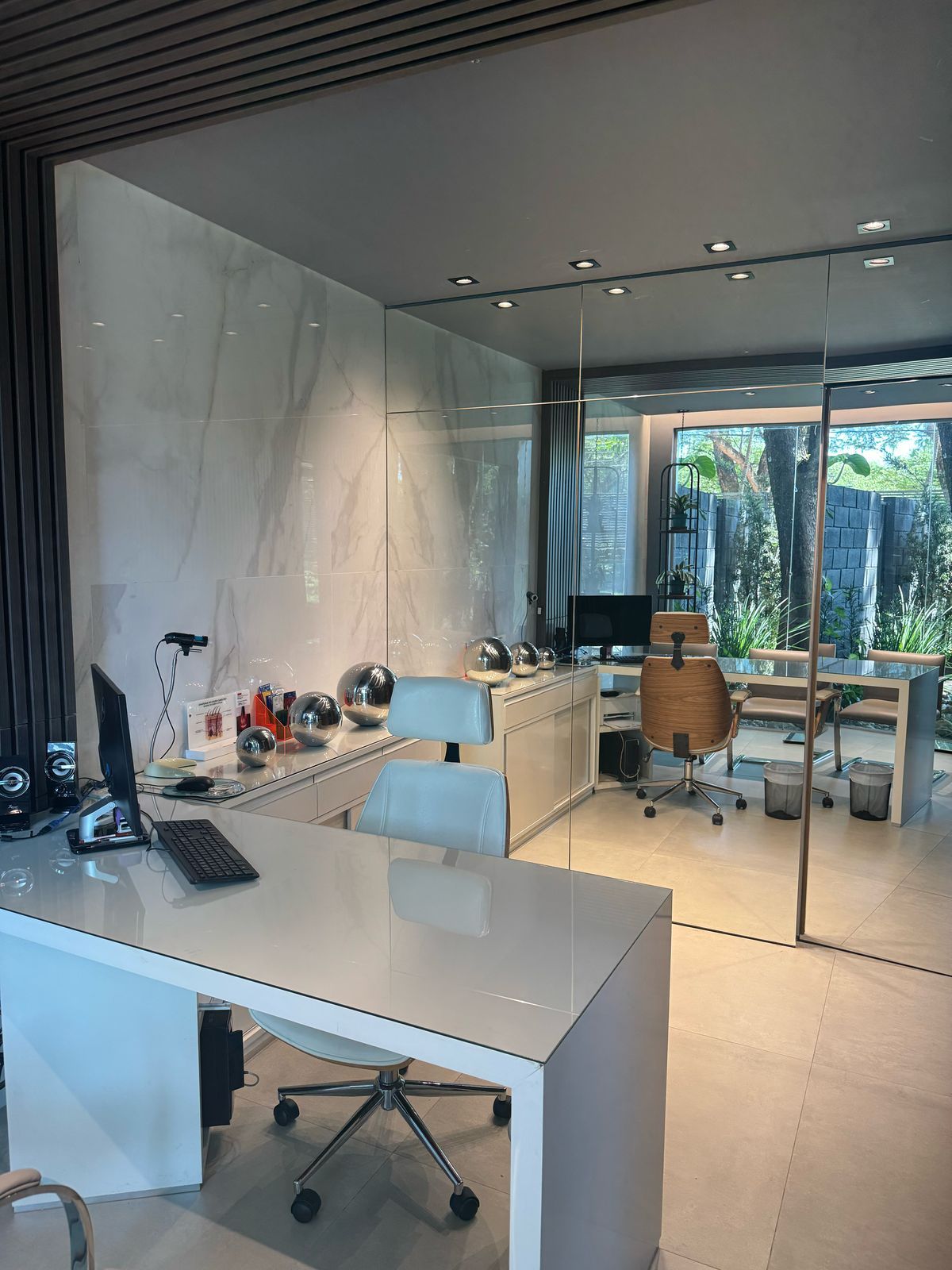 Cristiane Camara Alves De Assis-7