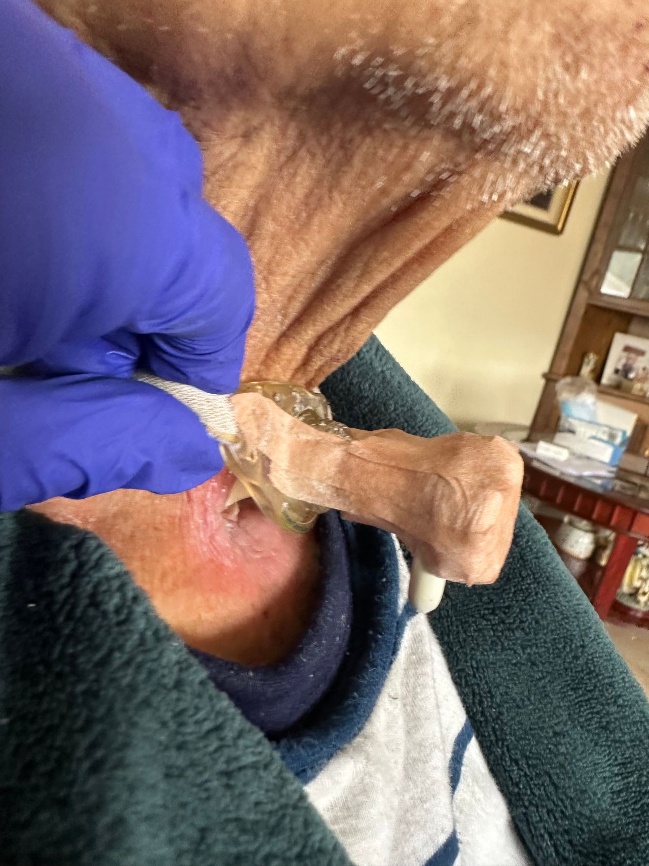 Fernanda Muñoz Quintana-3