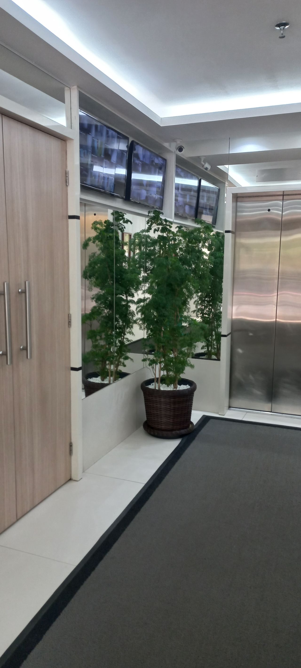 Bárbara Heloísa Santos-1