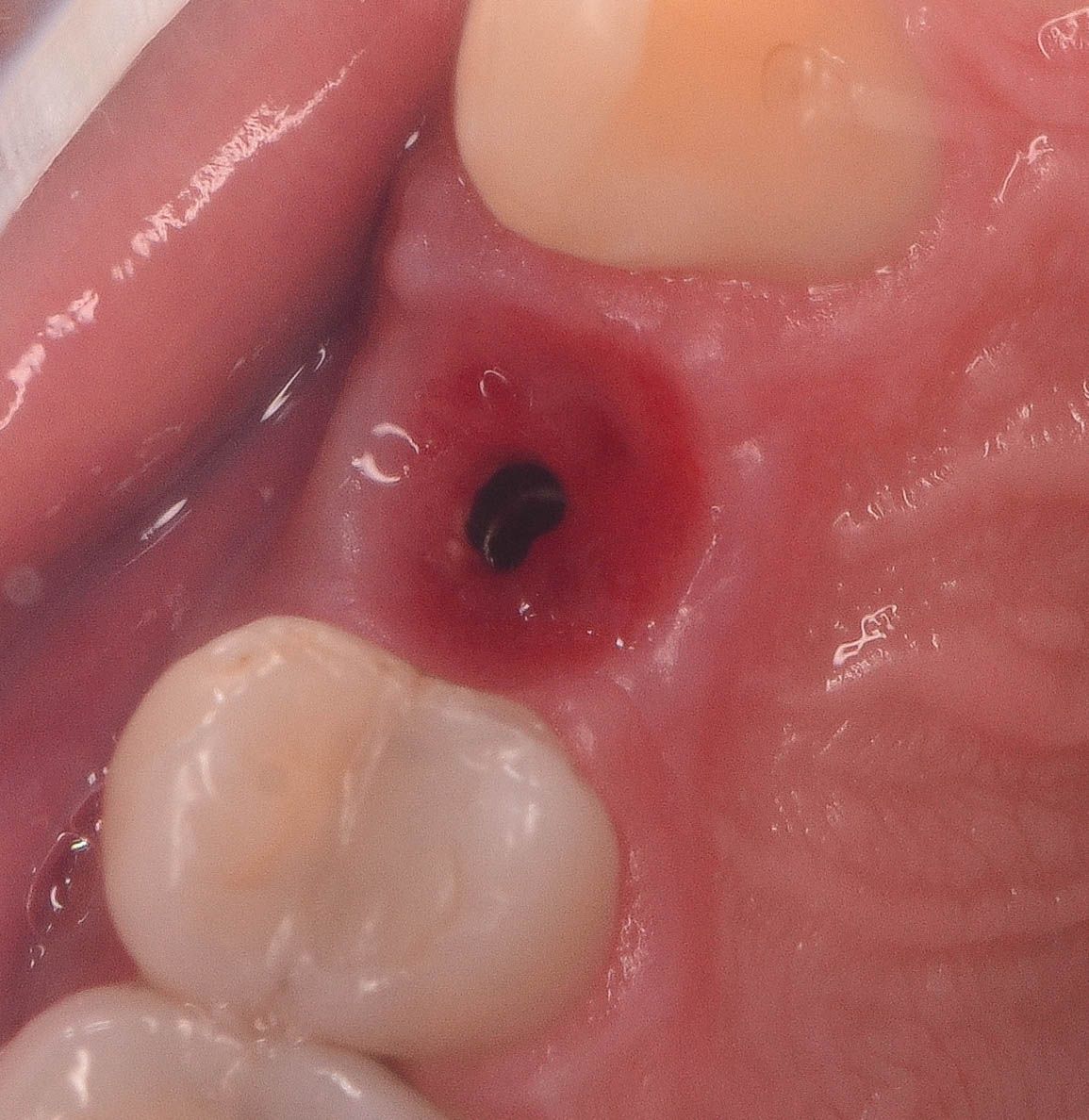 Edith Molina Miranda-7