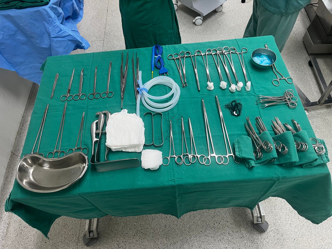 Joyce  Marianna Capocci Cavaco-2