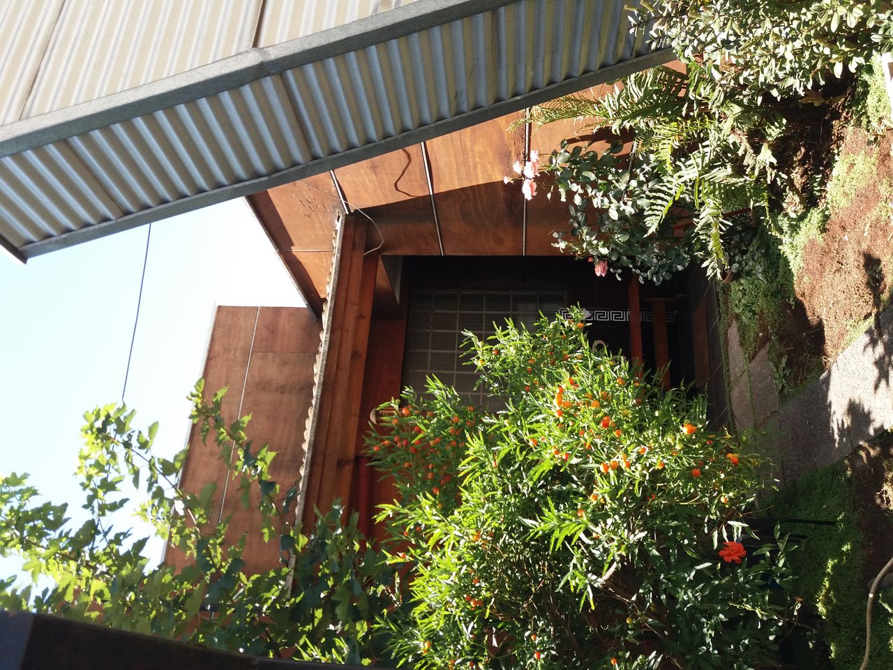 Claudio Mendoza Vega-5