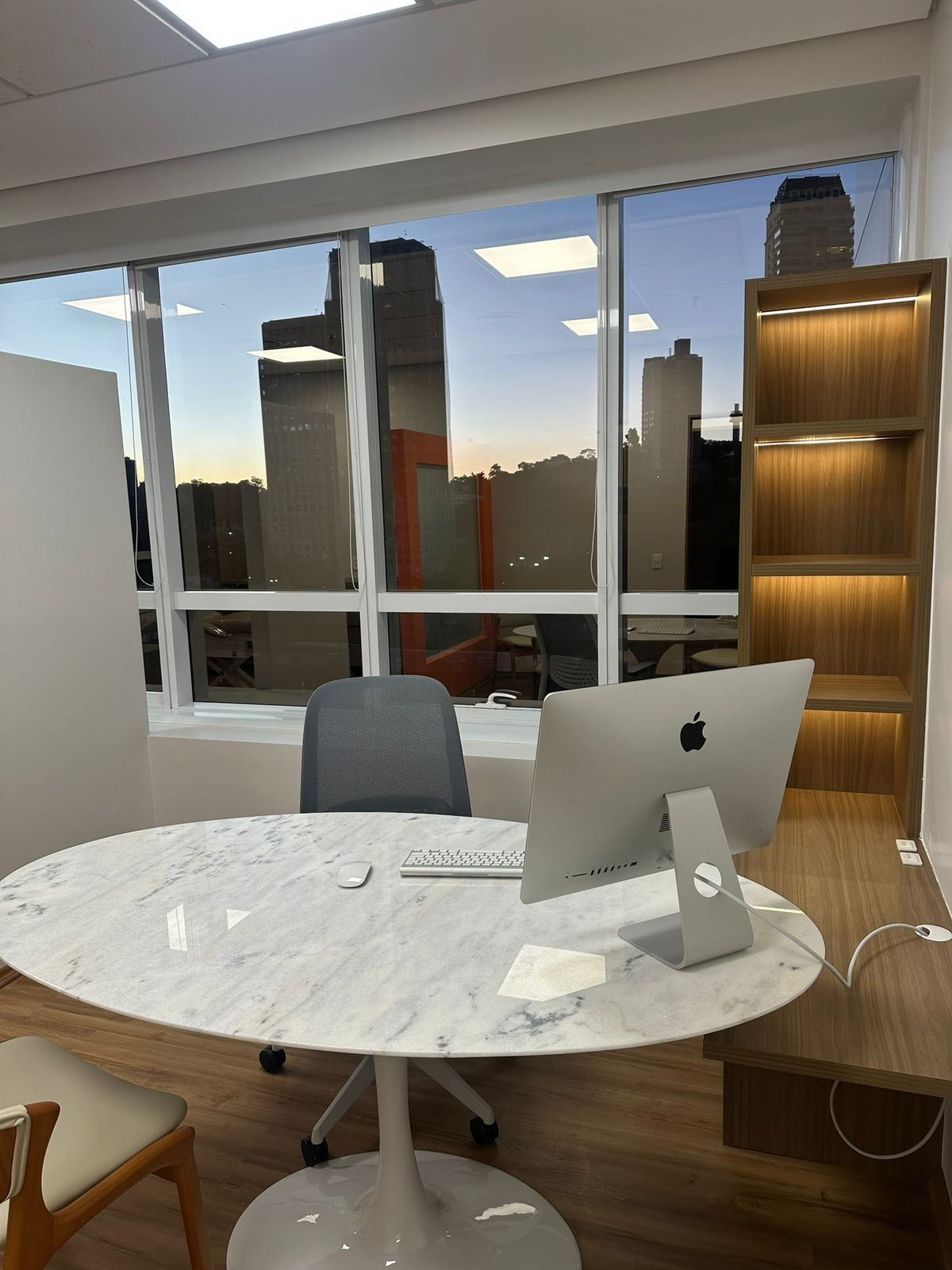 João Antonio Link-7