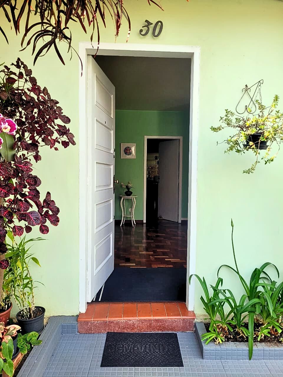 Leticia Ribas Bassan-6