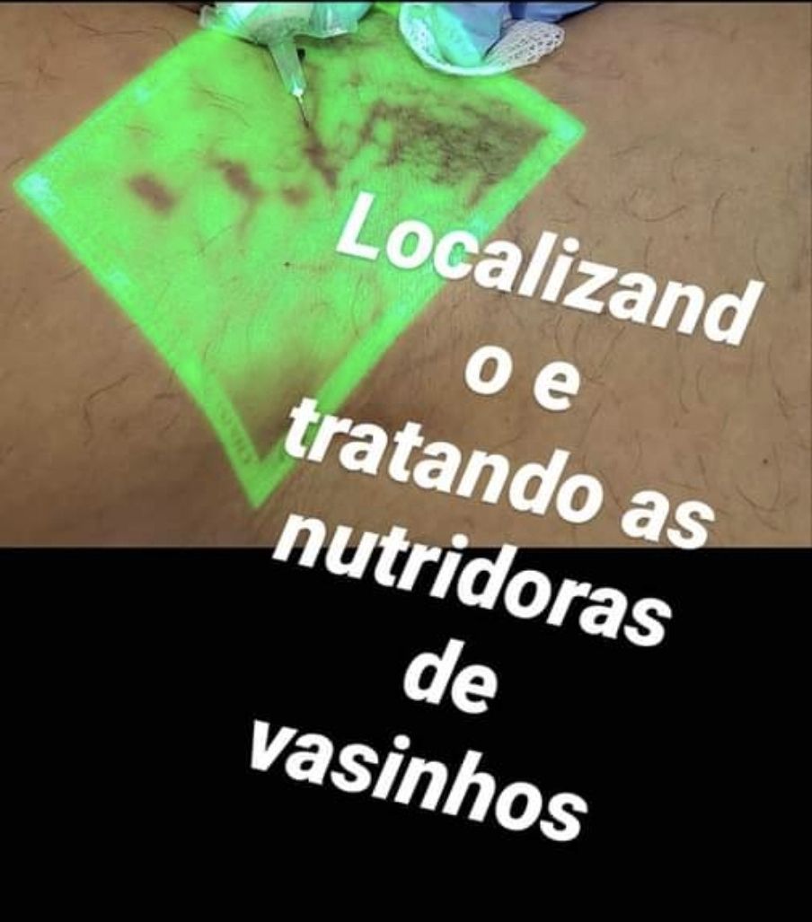 Edgard De Barros Lima-4