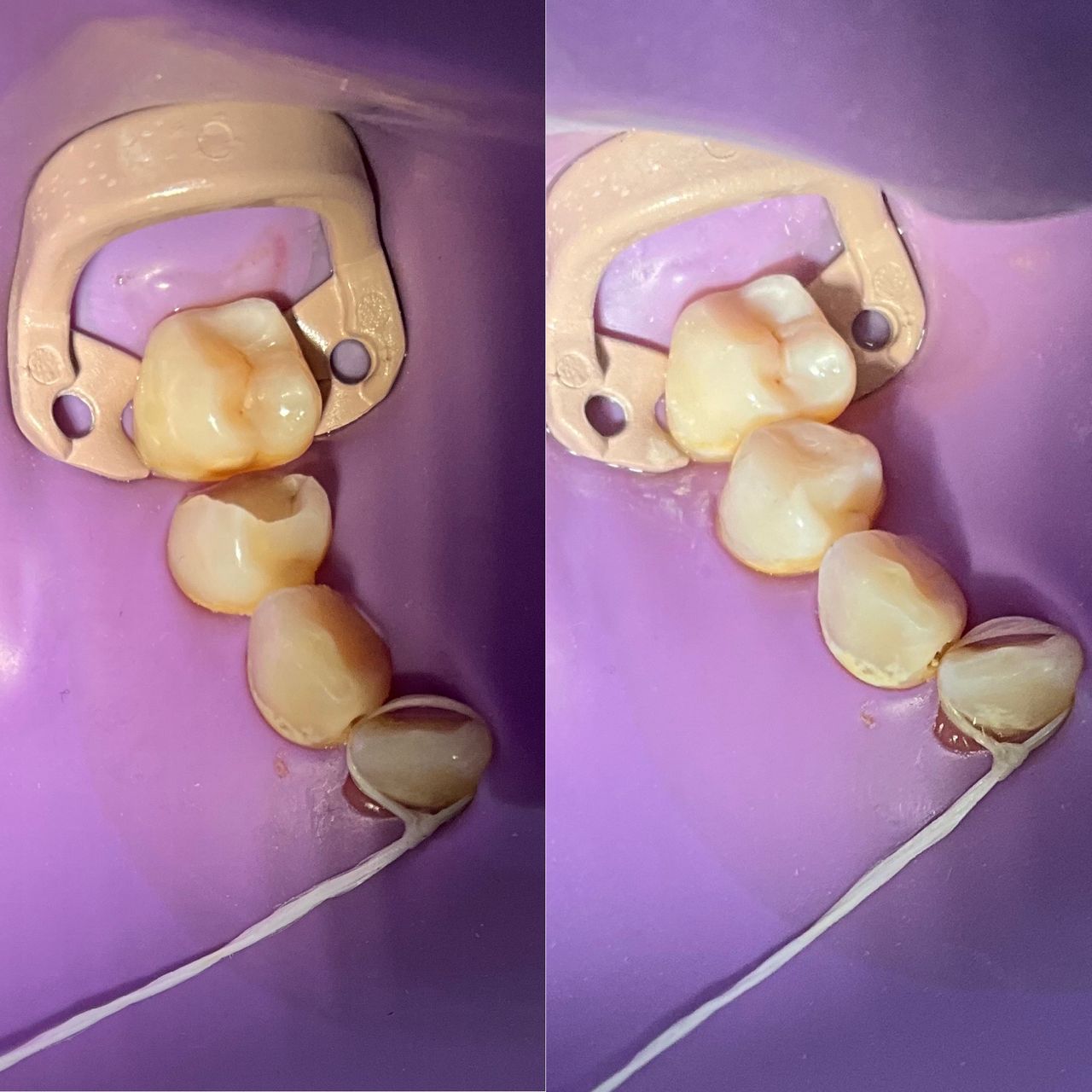 Camila Morales Cespedes-10