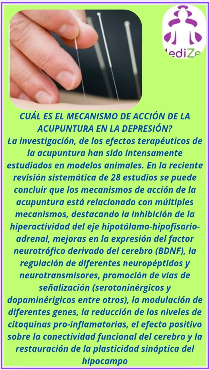 Jacqueline Pacheco Pulgar-3