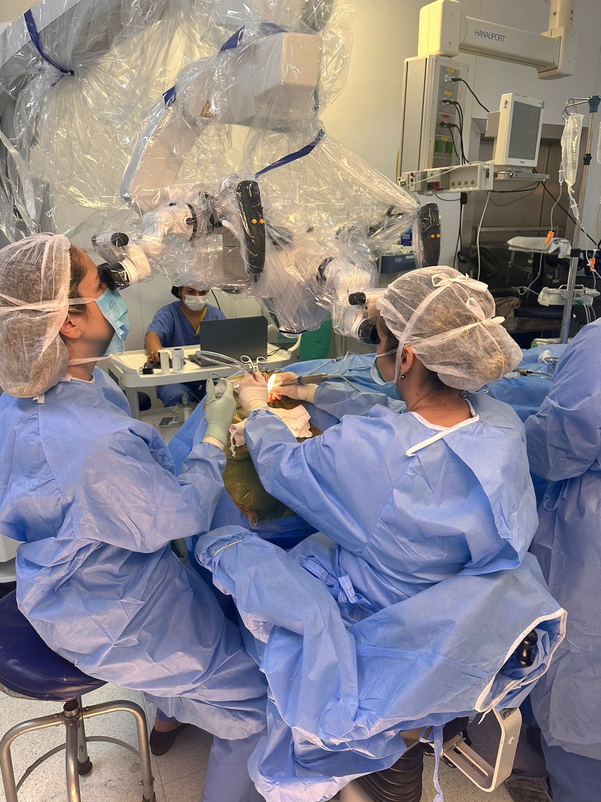 Paula Tardim Lopes-24