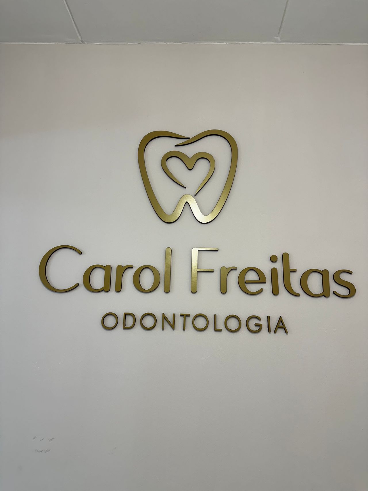 Ana Carolina  Silva E Freitas-5