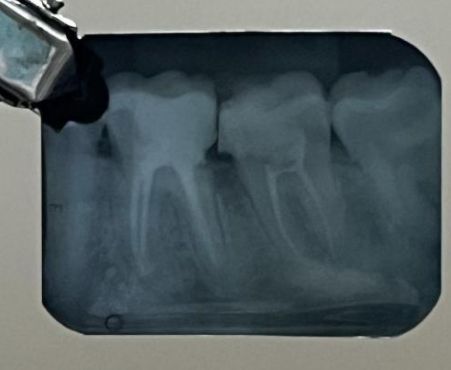  Máximo Joaquim  Calvo Villar Neto-5