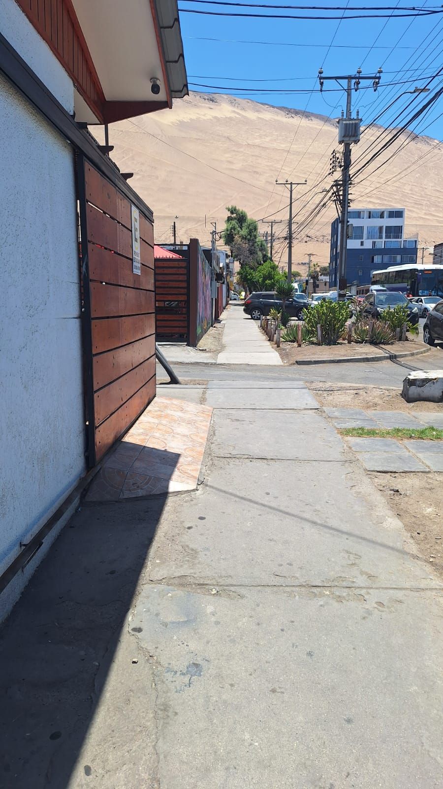 Jasna Quenaya Jaque-0