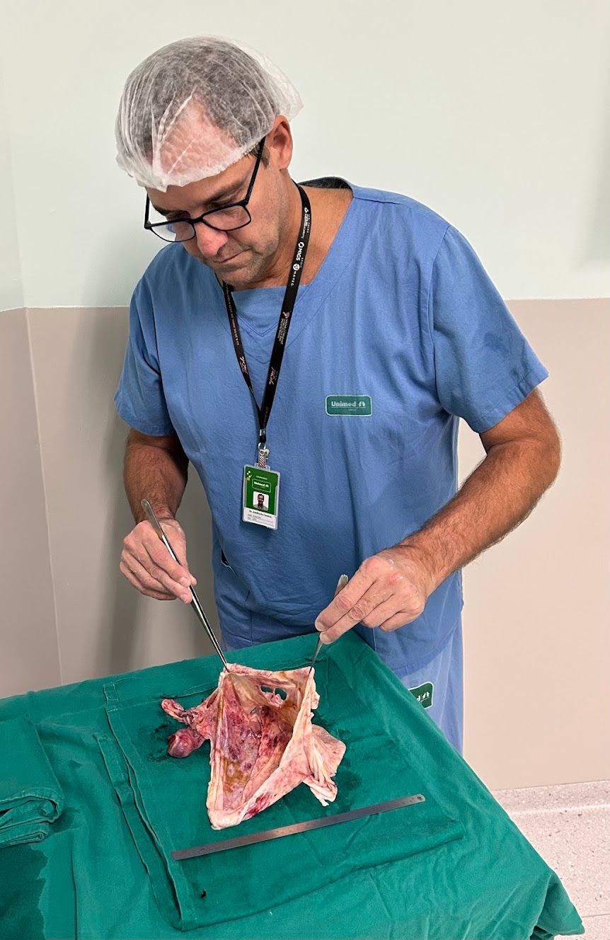 Adalberto Cesario Pereira Junior-16