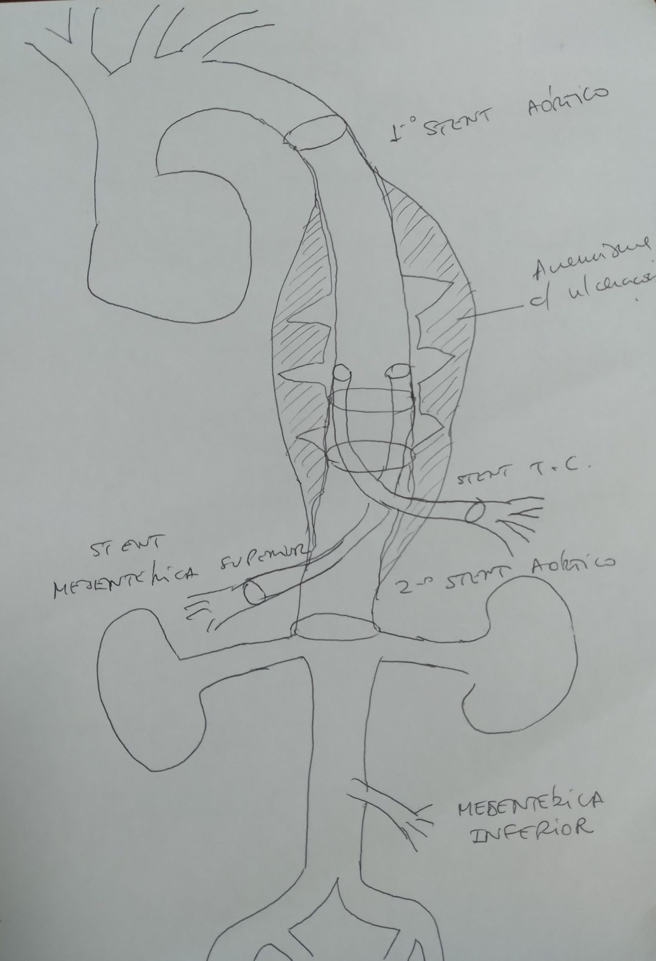 Roberto Young Junior-23