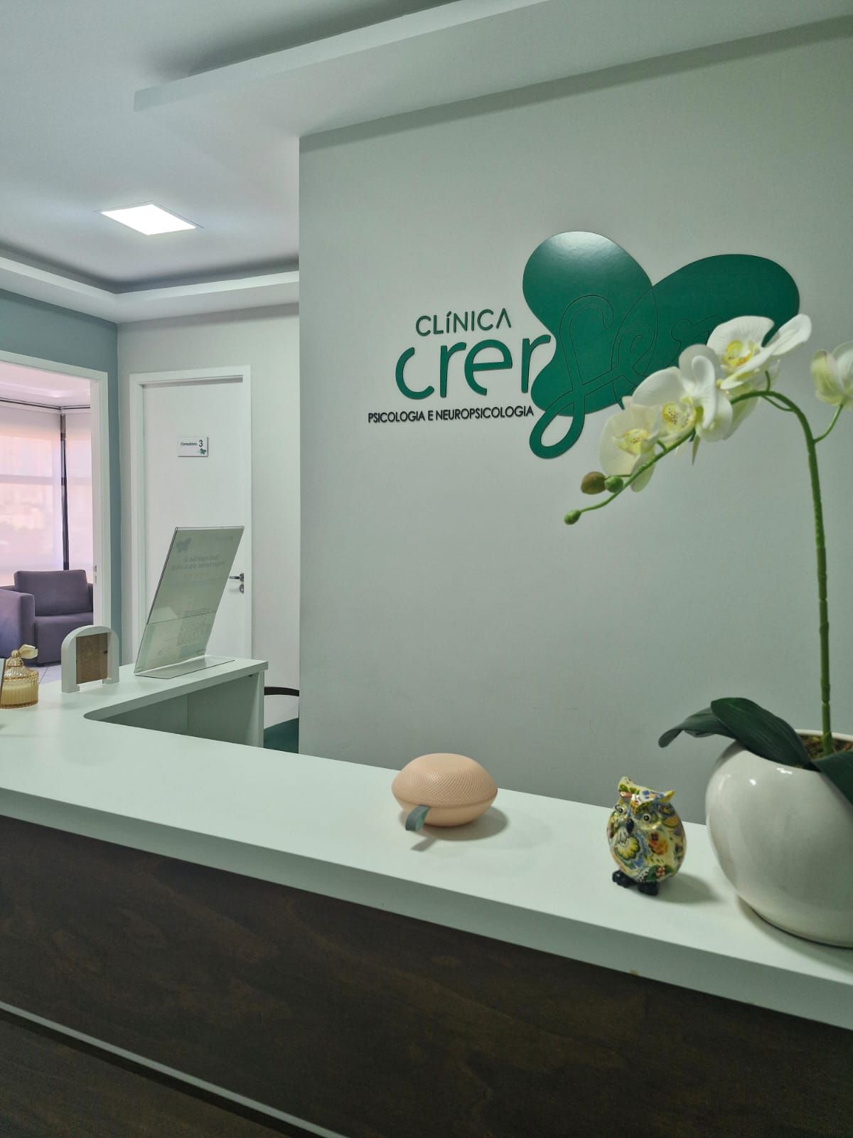 Viviane Freitas Agnolon-2