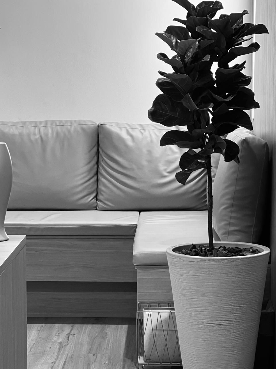 Vítor Rocco Torrez-3