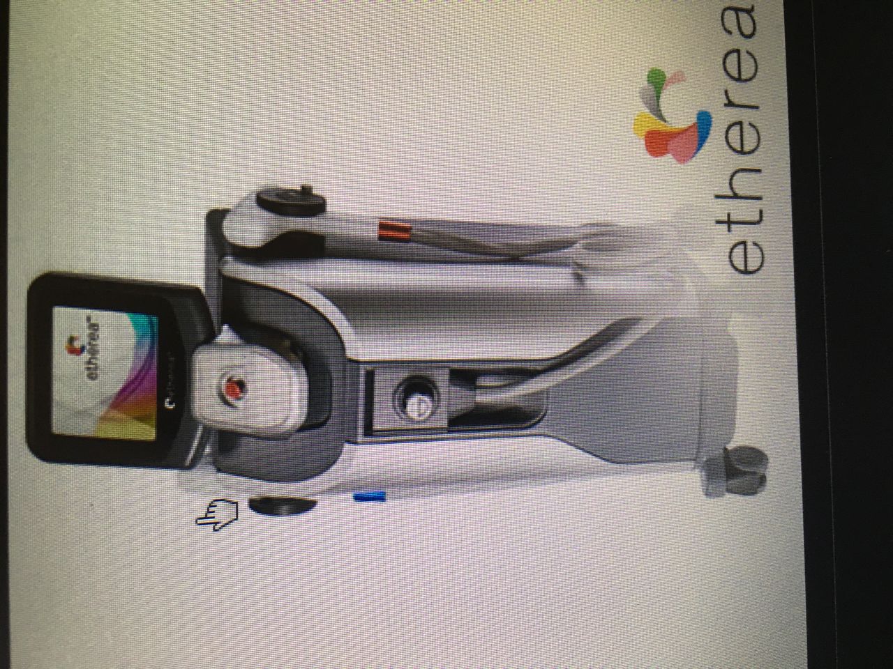 Karina Streliaev Dziekaniak-2