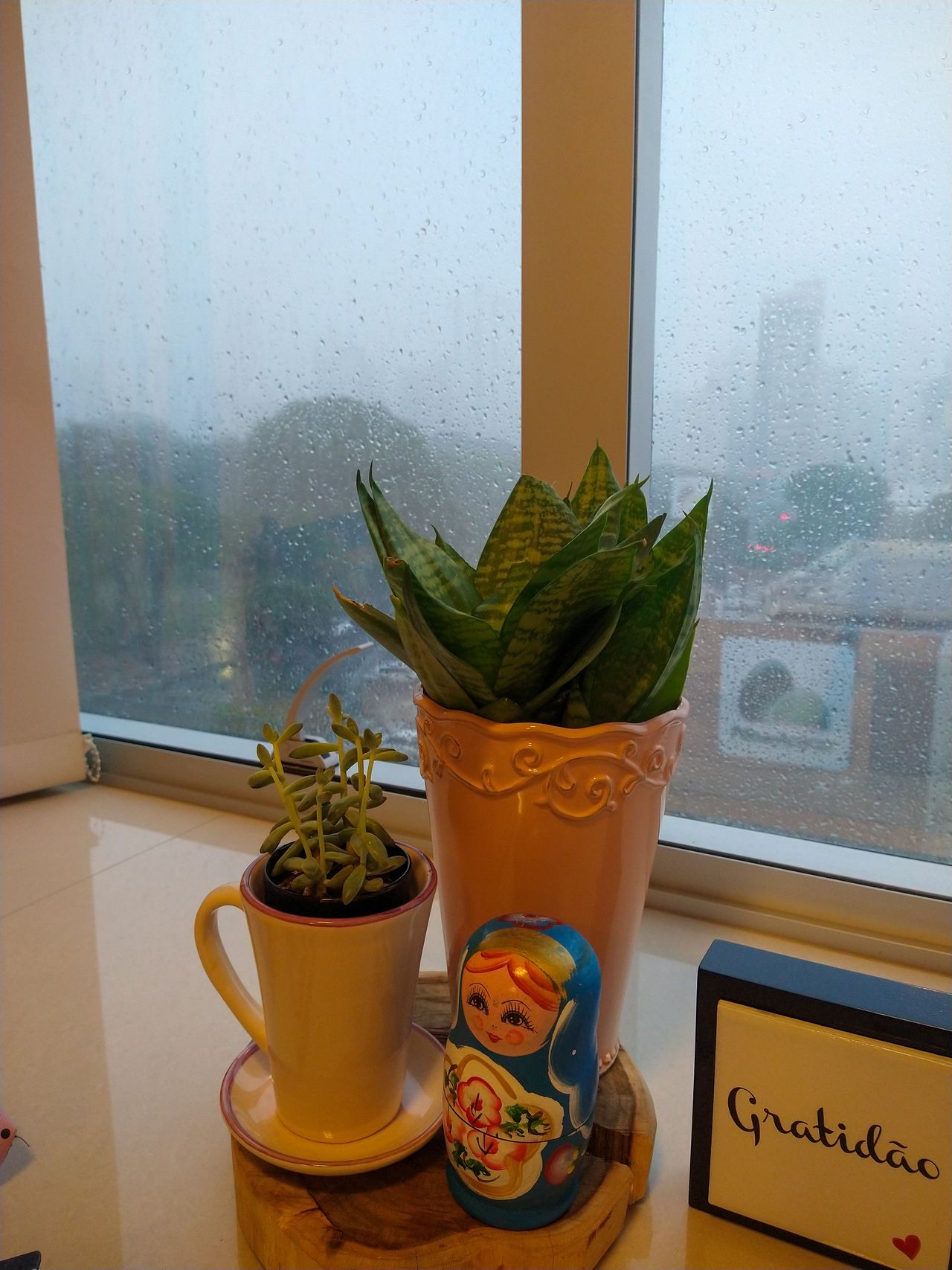 Maevy Rocha Nascimento-5