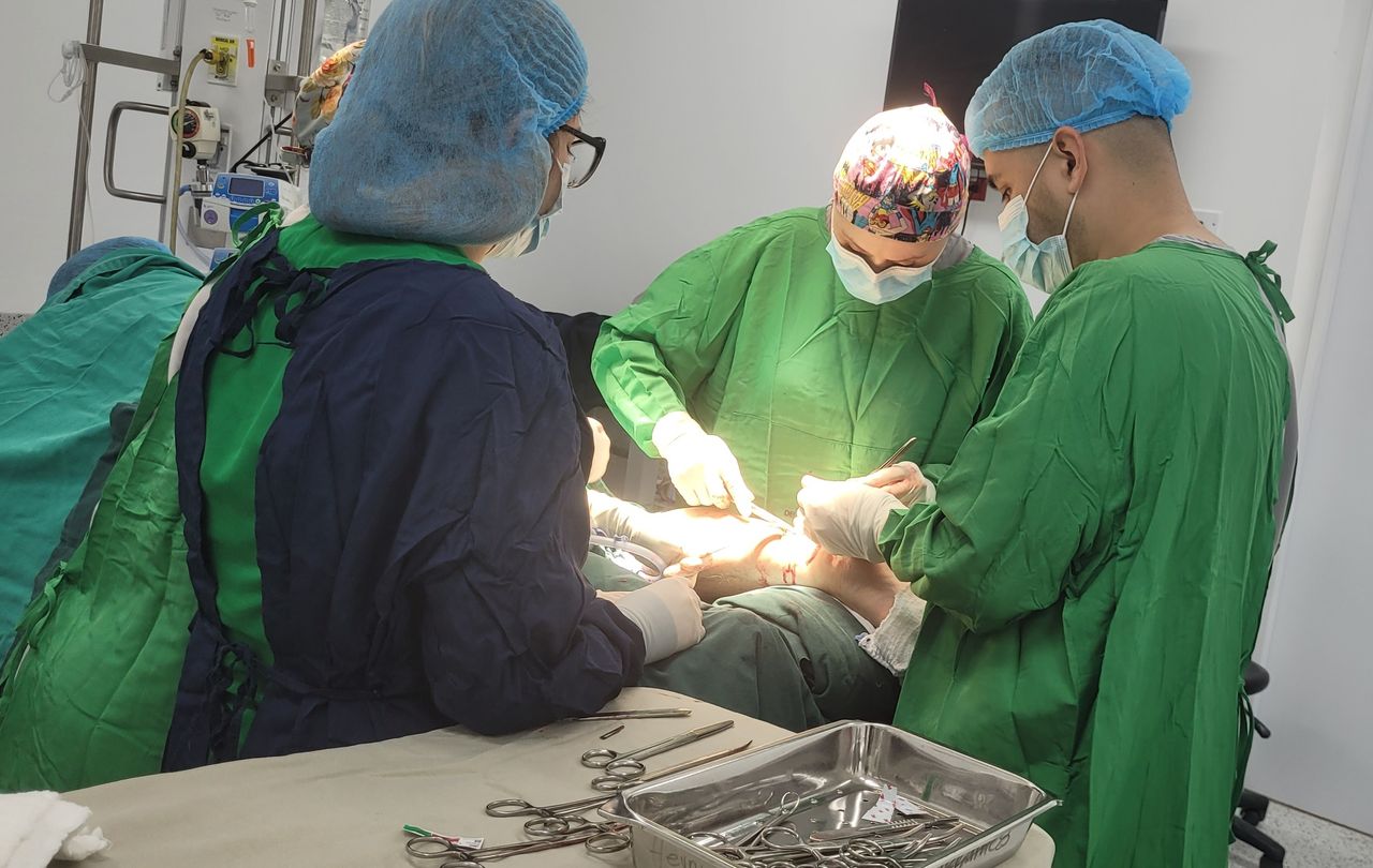 Giselle Blanco De Moya-0