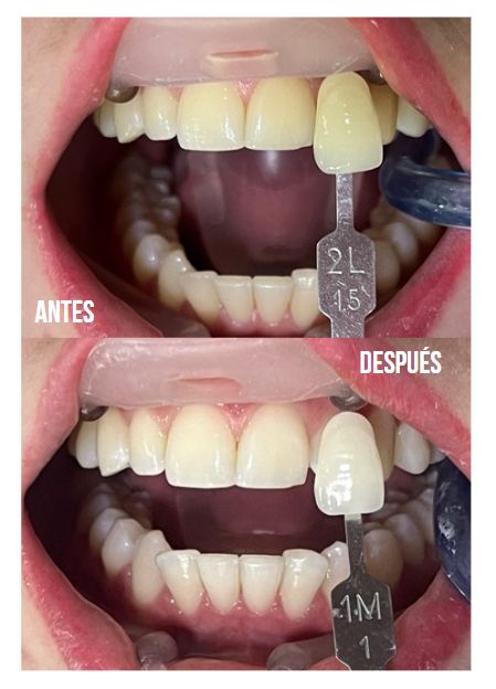 Juliana Gallego Quintero-3